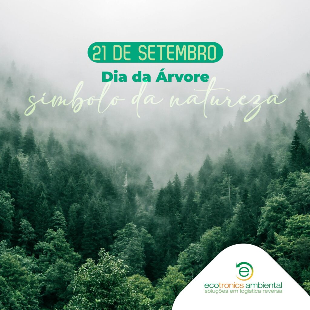 21 De Setembro Dia Da Árvore- Ecotronics Ambiental - Soluções Em ...