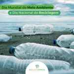 Dia Mundial do Meio Ambiente e Dia Nacional da Reciclagem